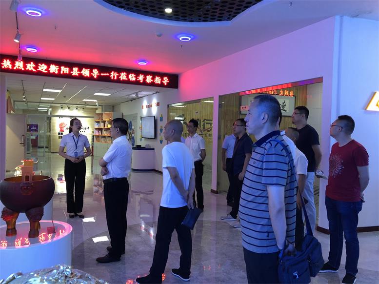 湖南省衡阳县常务副县长王苏龙一行莅临太阳集团2007网站集团考察财路大数据项目