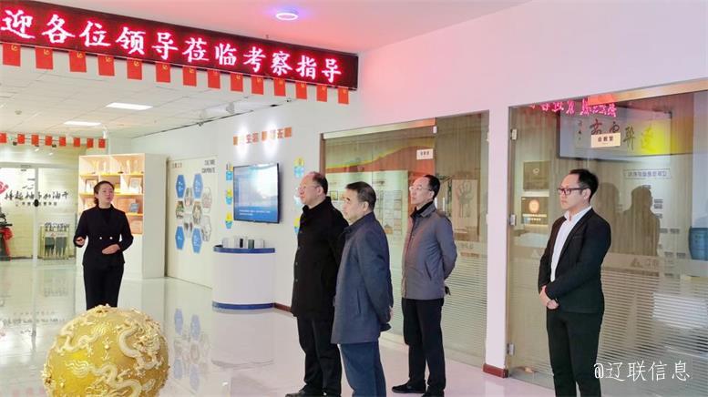 白塔区政府副区长赵震莅临太阳集团2007网站信息调研指导